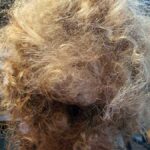 IMG-20211214-WA0002